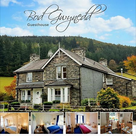 בטווס אי קואד Bod Gwynedd Bed And Breakfast מראה חיצוני תמונה