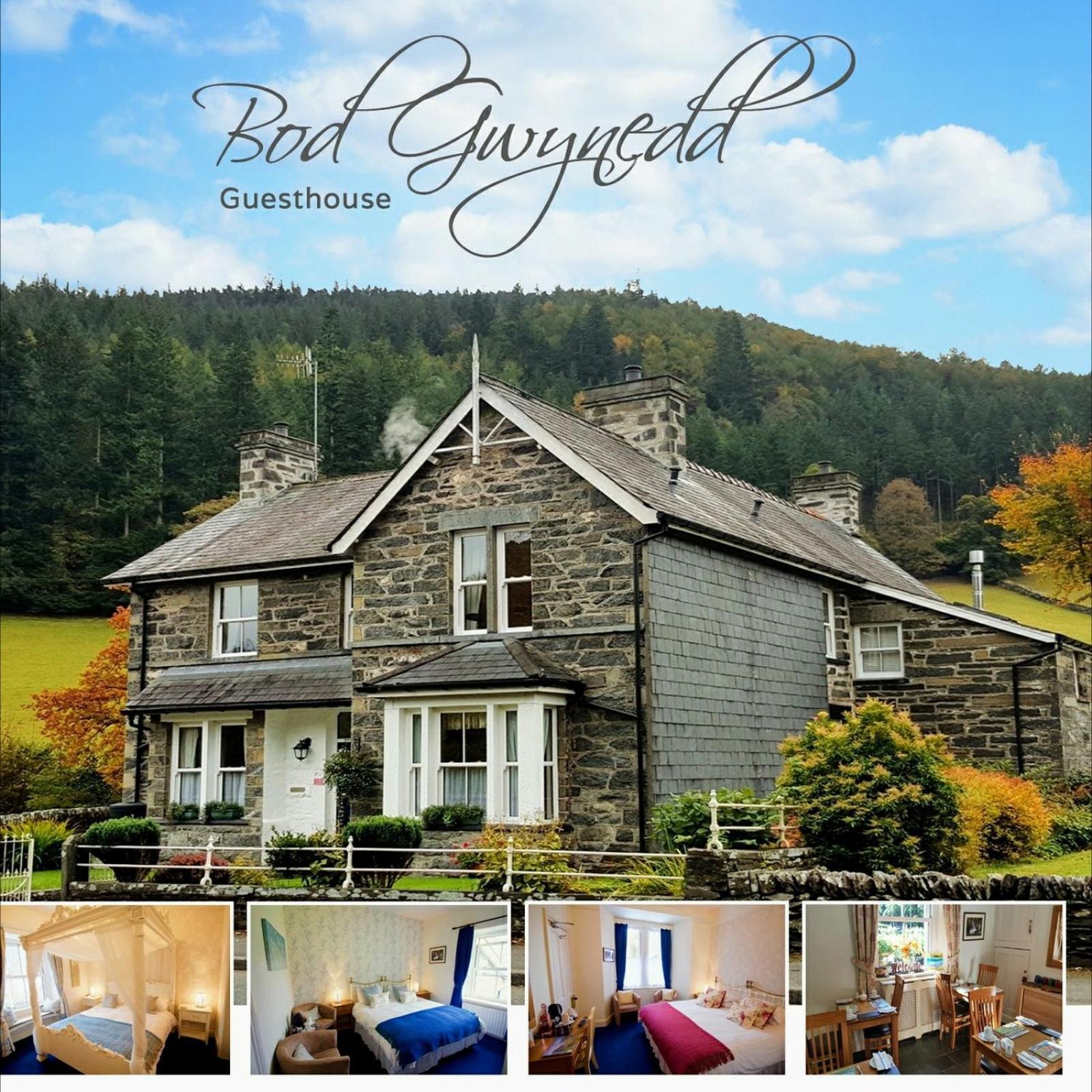 בטווס אי קואד Bod Gwynedd Bed And Breakfast מראה חיצוני תמונה